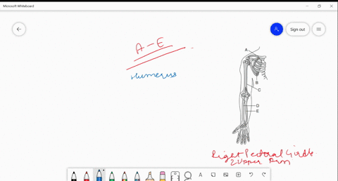 which-part-is-indicated-as-mathrma-mathrmb-mathrmc-mathrmd-and-mathrme-in-the-given-figure-a-a-clavi