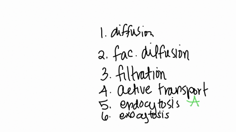 match-the-transport-mechanisms-with-their-descriptions-1-diffusion-2-facilitated-diffusion-3-filtrat