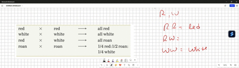 in-shorthorn-cattle-coat-color-may-be-red-white-or-roan-roan-is-an-intermediate-phenotype-expressed