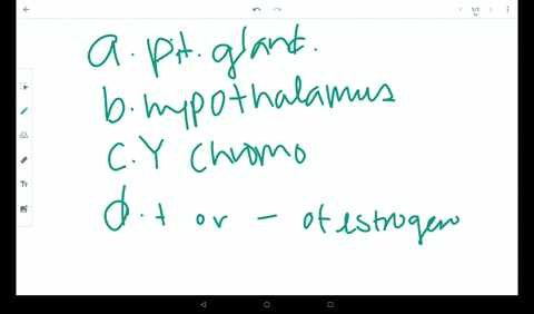 what-controls-whether-an-embryo-will-develop-testes-or-ovaries-a-pituitary-gland-b-hypothalamus-c-y-