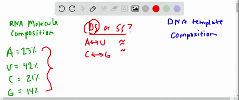 an-rna-molecule-has-the-following-percentages-of-bases-a23-u42-mathrmc21-text-and-mathrmg14-a-is-thi