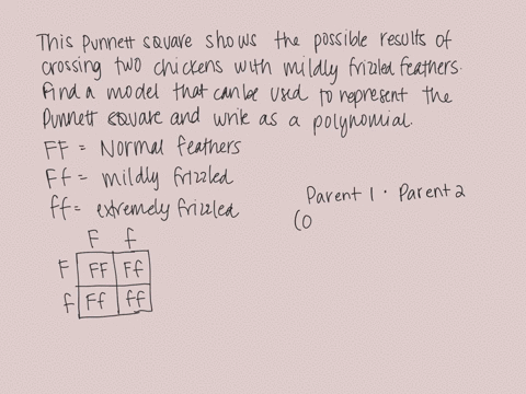 use-the-following-information-in-chickens-neither-the-normal-feathered-gene-f-nor-the-frizzle-feathe