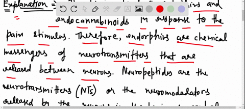 endorphins-are-one-kind-of-the-chemical-messengers-between-neurons