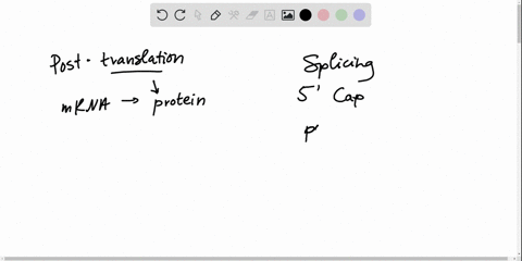 Solved:which Pre-Mrna Processing Step Is Important For Initiating  Translation? A. Poly-A Tail B. Rna Editing C. Splicing D. 7-Methylguanosine  Cap Solved:which Pre-Mrna Processing Step Is Important For Initiating  Translation? A. Poly-A Tail B. Rna Editing C. Splicing D. 7-Methylguanosine  Cap