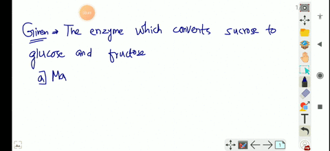 the-enzyme-which-converts-sucrose-to-glucose-and-fructose-a-maltase-b-invertase-c-lactase-d-hexokina