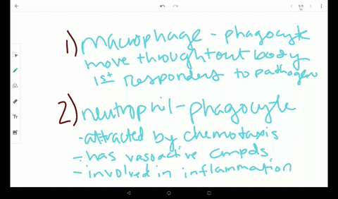describe-two-early-induced-responses-and-what-pathogens-they-affect