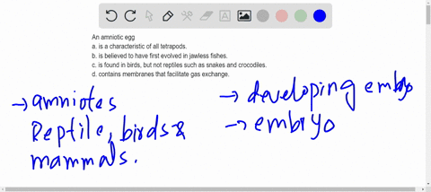 an-amniotic-egg-a-is-a-characteristic-of-all-tetrapods-b-is-believed-to-have-first-evolved-in-jawles