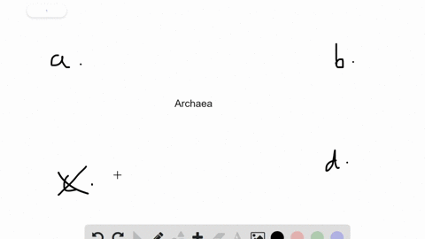 archaea-_______-a-are-more-closely-related-to-eukaryotes-than-to-bacteria-b-were-the-first-prokaryot