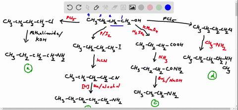 show-how-you-might-synthesize-each-of-the-following-compounds-from-1-butanol-a-butylamine-free-of-2c