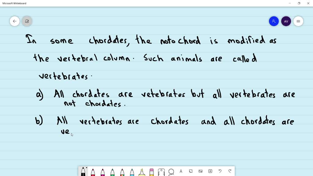 SOLVED:In some chordates, the notochord is modified as the vertebral