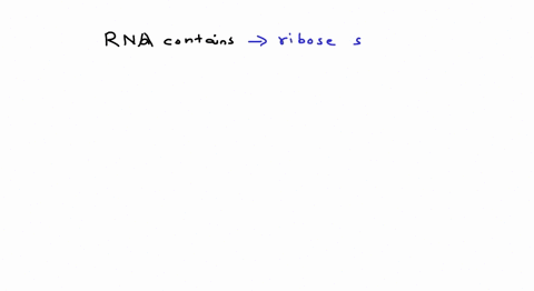 rna-contains-a-ribose-sugar-and-thymine-b-ribose-sugar-and-uracil-c-deoxyribose-sugar-and-uracil-d-d