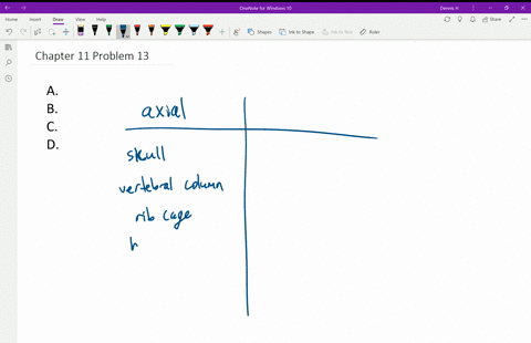 which-of-the-following-bones-is-not-a-part-of-the-appendicular-skeleton-a-the-triquetrum-one-of-the-