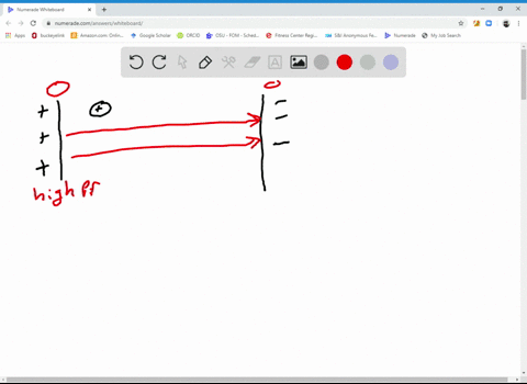 describe-the-motion-and-explain-the-energy-conversions-that-are-involved-when-a-positive-charge-is-p