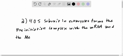 what-is-the-main-role-of-a-the-40-s-ribosome-and-b-the-60-s-ribosome-2
