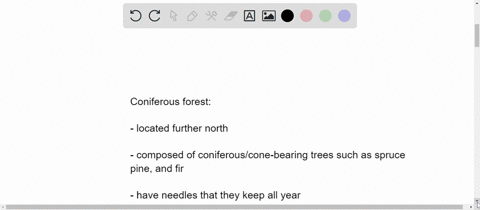 how-do-deciduous-and-coniferous-biomes-differ