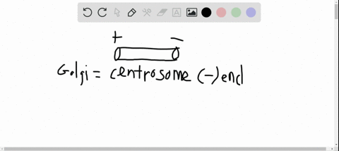 certain-cellular-components-appear-to-move-bidirectionally-on-microtubules-describe-how-this-is-po-2