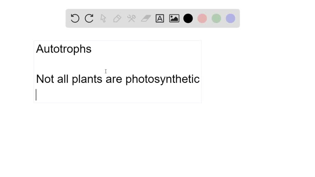 ⏩SOLVEDYour friend claims that all plants are autotrophs since they