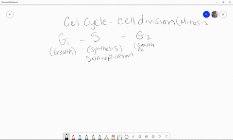 why-does-dna-replication-precede-cell-division