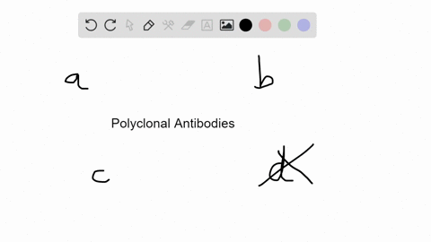 for-many-uses-in-the-laboratory-polyclonal-antibodies-work-well-but-for-some-types-of-assays-they--3
