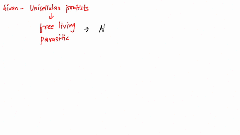 unicellular-protists-that-are-free-living-or-parasitic-move-by-means-of-flagella-and-do-not-photosyn