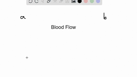 most-blood-enters-the-ventricle-during-________-a-atrial-systole-b-atrial-diastole-c-ventricular-sys