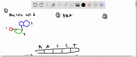 refer-to-the-terms-below-a-thymine-b-deoxyribose-c-ribose-d-uracil-e-guanine-nitrogenous-base-that-o