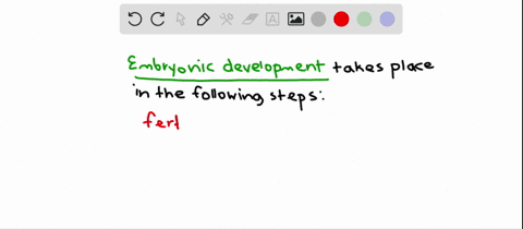 choose-the-correct-sequence-of-events-in-embryonic-development-a-fertilization-rightarrow-cleavage-r