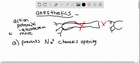 anesthetics-block-pain-by-blocking-the-transmission-of-nerve-signals-which-of-these-three-chemicals-