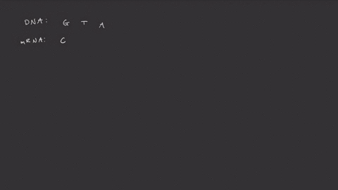 the-nucleotide-sequence-of-a-dna-codon-is-gta-what-would-be-the-nucleotide-sequence-of-an-mrna-molec