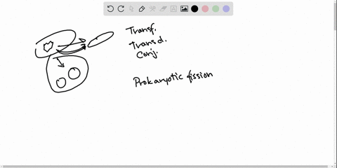 only-________-reproduce-by-prokaryotic-fission-a-viruses-b-archaea-c-bacteria-d-b-and-c-are-correct