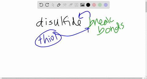 the-shape-of-hair-is-determined-in-part-by-the-pattern-of-disulfide-bonds-in-keratin-its-major-prote