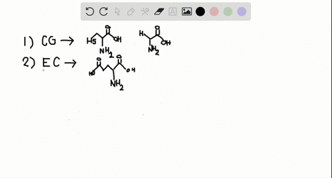 Glutathione is an important antioxidant and a tripeptide...