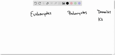 true-or-false-some-protists-are-prokaryotes-2
