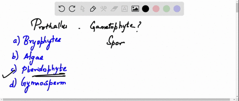 prothallus-is-the-gametophyte-of-a-bryophytes-b-algae-c-pteridophyte-d-gymnosperm