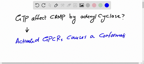 how-does-the-presence-of-the-poorly-hydrolyzable-gtp-analog-gtp-gamma-s-in-which-an-o-atom-on-the-te