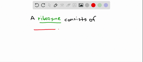 what-is-a-ribozyme-made-of