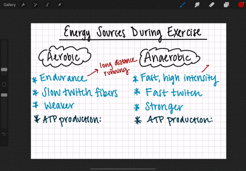 fifteen-minutes-into-a-10-k-run-what-is-the-major-energy-source-of-the-leg-muscles-a-preformed-atp-b