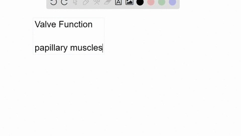 describe-how-the-valves-keep-the-blood-moving-in-one-direction