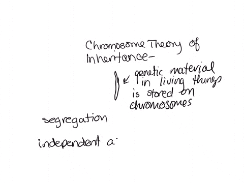 what-is-the-chromosome-theory-of-inheritance-and-how-is-it-related-to-mendels-findings-4