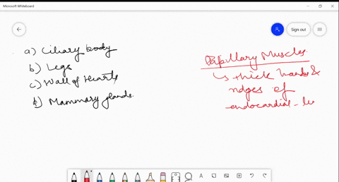 SOLVED:Which of the following organs has papillary muscles? (a) Ciliary ...