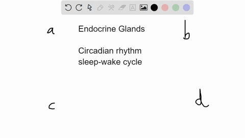 the-endocrine-gland-that-serves-as-an-internal-biological-clock-is-the-______-a-pineal-gland-b-pitui