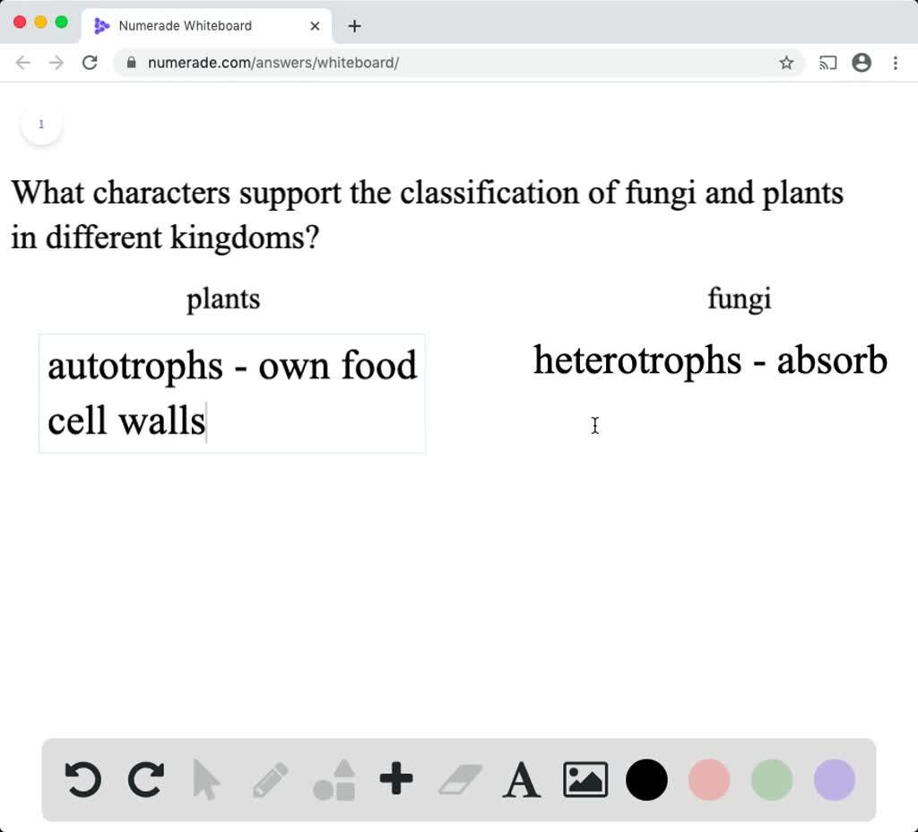 why-are-fungi-and-plants-classified-in-different-king-solvedlib