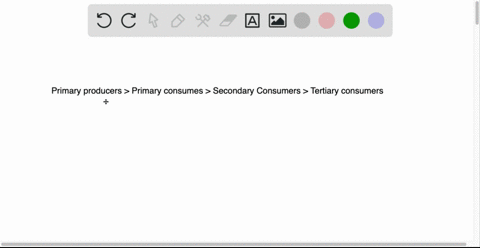 chemoautotrophic-bacteria-are-a-primary-consumers-b-secondary-consumers-c-tertiary-consumers-d-prima