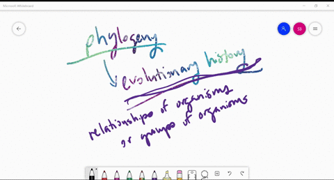 what-is-used-to-determine-phylogeny-a-mutations-b-dna-c-evolutionary-history-d-organisms-on-earth-2