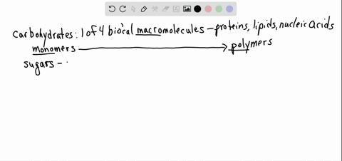 which-of-the-following-categories-includes-all-others-in-the-list-a-monosaccharide-b-polysaccharide-
