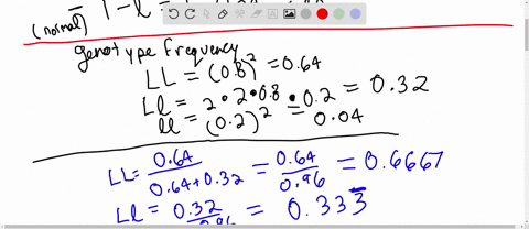 in-a-large-randomly-mating-population-the-frequency-of-an-autosomal-recessive-lethal-allele-is-020-w