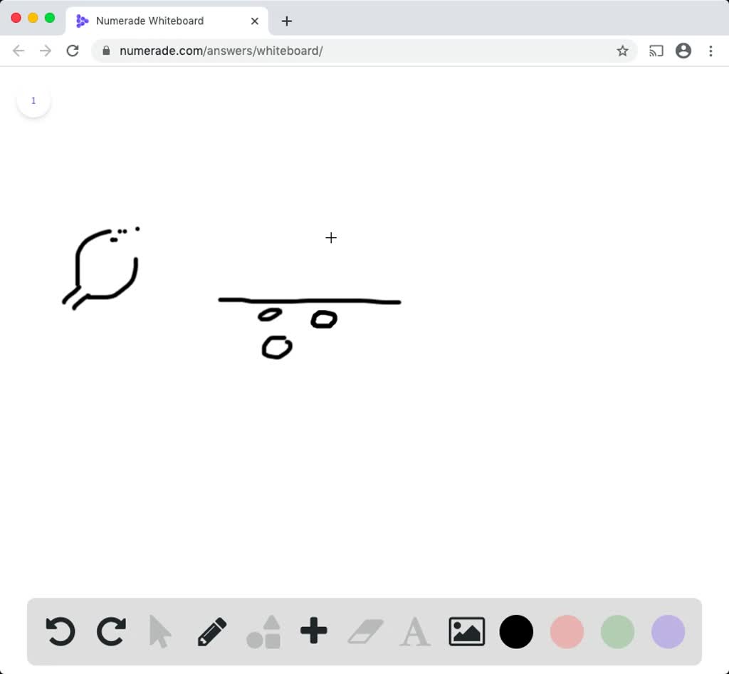 SOLVEDTruffles (the fungi, not the chocolates) are the reproductive
