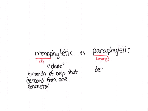 what-are-monophyletic-and-paraphyletic-groups