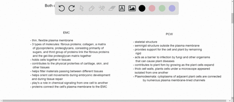 compare-the-extracellular-matrix-of-the-animal-cell-with-the-plant-cell-wall-with-respect-to-composi