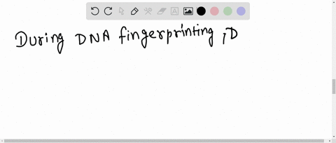 during-dna-fingerprinting-dna-probes-helps-in-a-gel-electrophoresis-b-southern-blotting-c-autoradiog